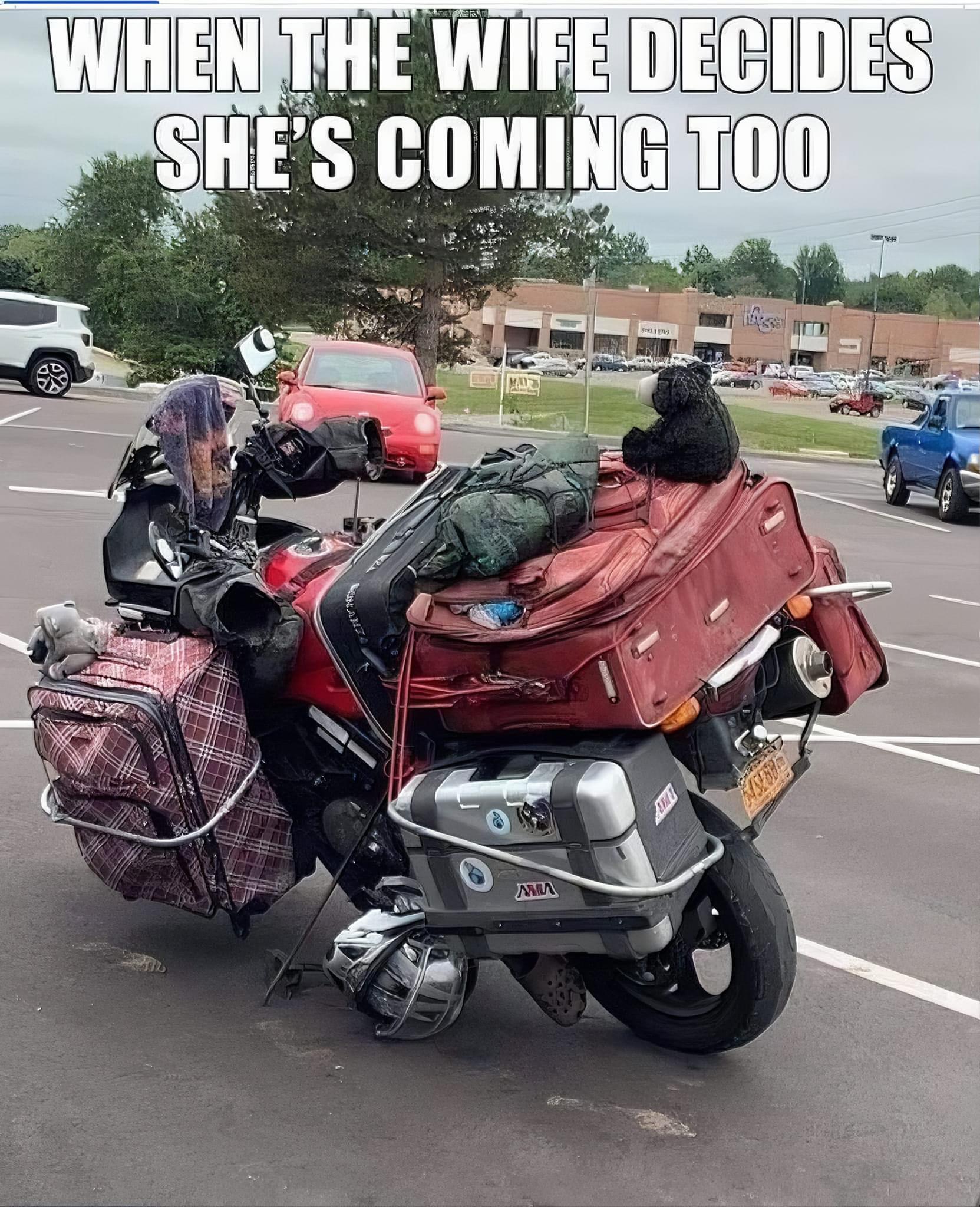 [Triumph]