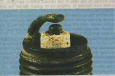 [Blister plug]