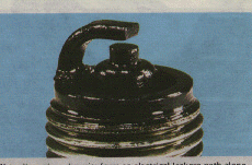 [oily plug]