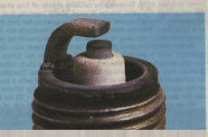 [Tan plug]